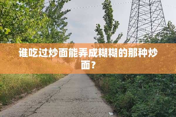 谁吃过炒面能弄成糊糊的那种炒面？