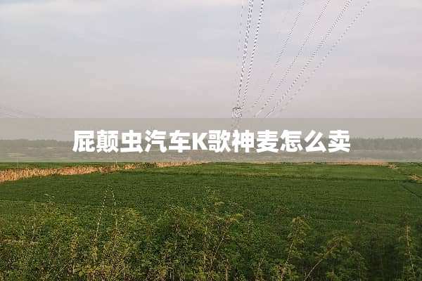 屁颠虫汽车K歌神麦怎么卖