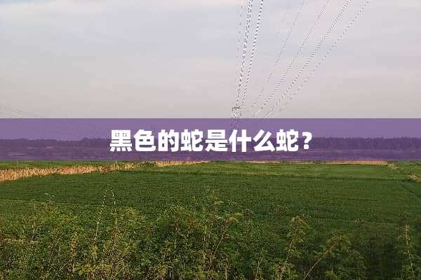 黑色的蛇是什么蛇？