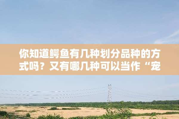 你知道鳄鱼有几种划分品种的方式吗？又有哪几种可以当作“宠物鳄鱼”来饲养？