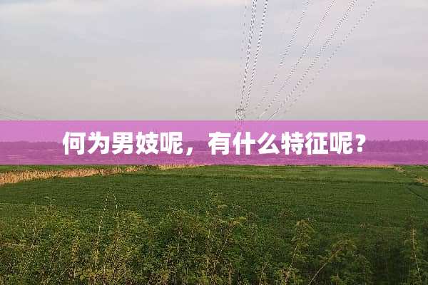 何为**呢，有什么特征呢？