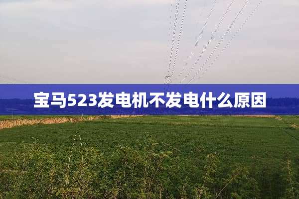 宝马523发电机不发电什么原因