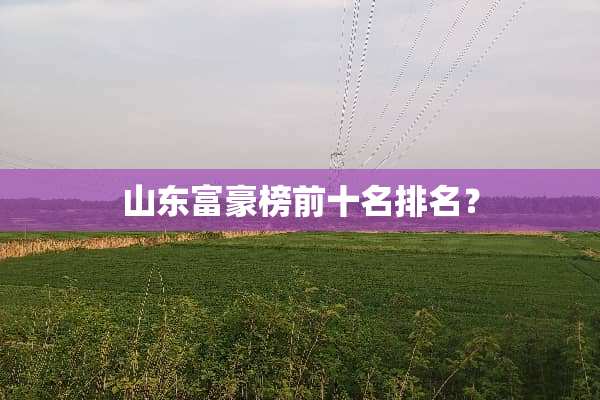 山东富豪榜前十名排名？