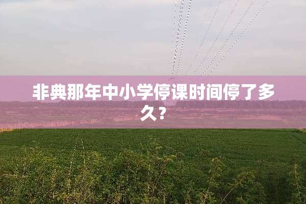 **那年中小学停课时间停了多久？