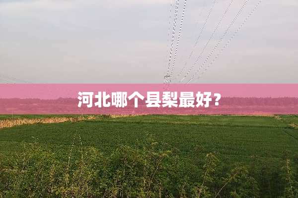 河北哪个县梨最好？