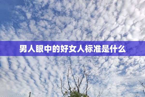 男人眼中的好女人标准是什么