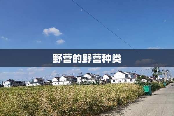野营的野营种类