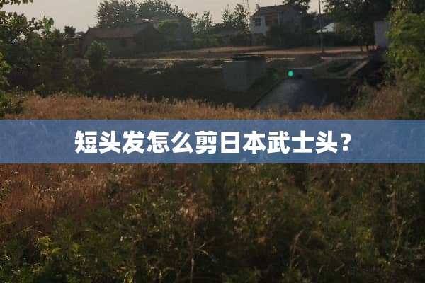 短头发怎么剪日本武士头？