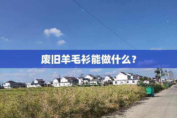 废旧羊毛衫能做什么？