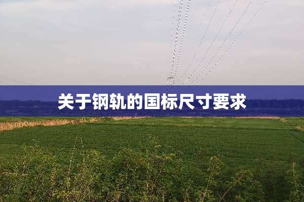 关于钢轨的国标尺寸要求