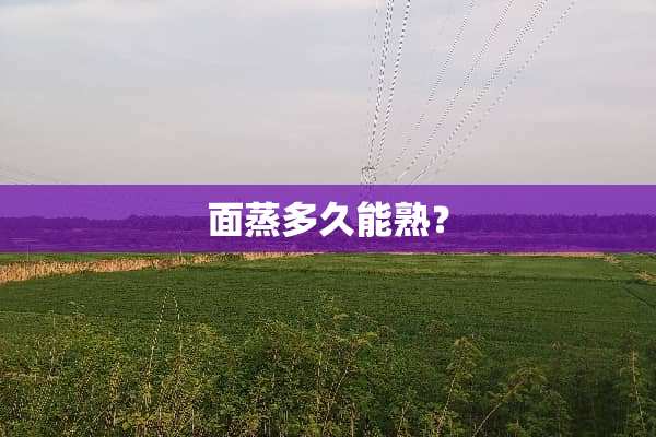 面蒸多久能熟？