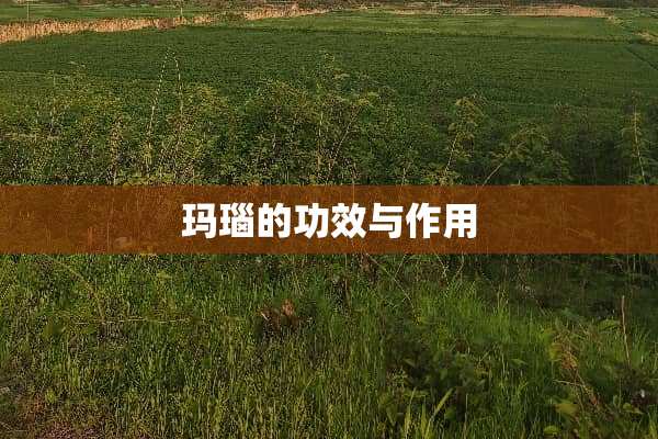 玛瑙的功效与作用