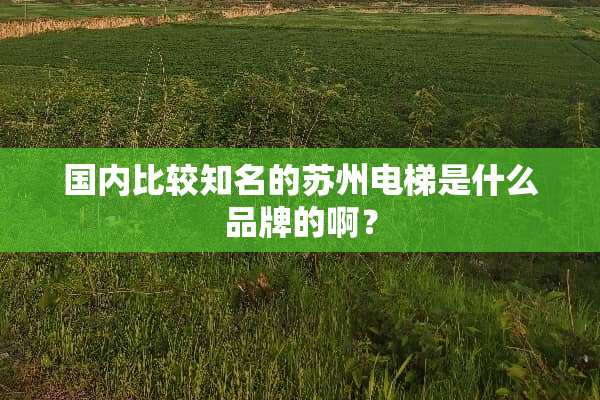 国内比较知名的苏州电梯是什么品牌的啊？