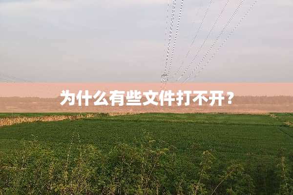 为什么有些文件打不开？