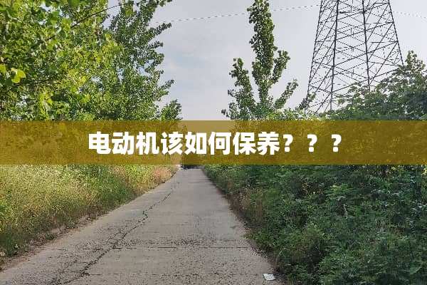 电动机该如何保养？？？