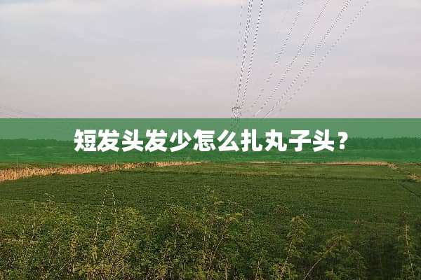 短发头发少怎么扎丸子头？