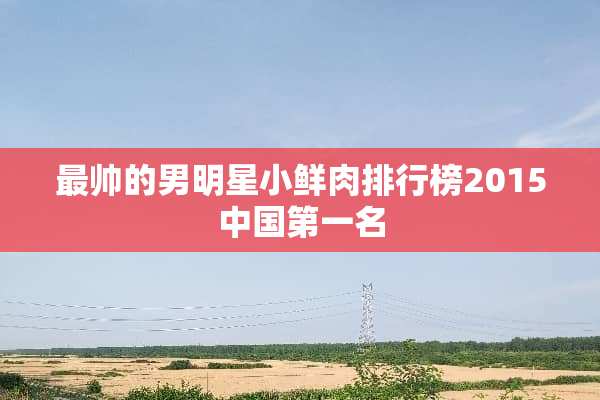 最帅的男明星小鲜肉排行榜2015中国第一名