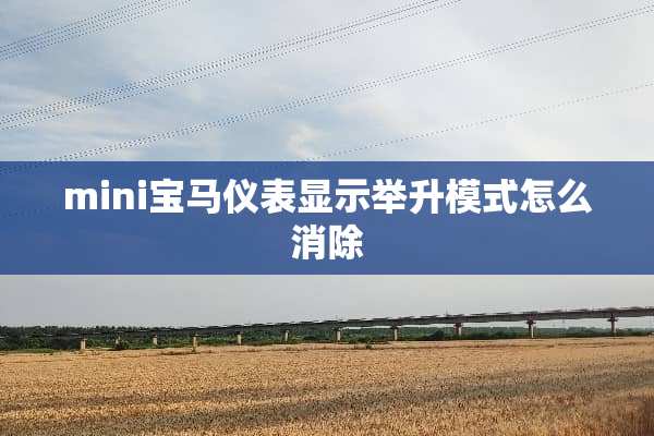 mini宝马仪表显示举升模式怎么消除