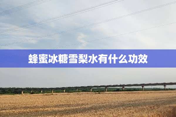 蜂蜜冰糖雪梨水有什么功效