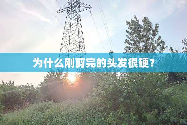 为什么刚剪完的头发很硬？