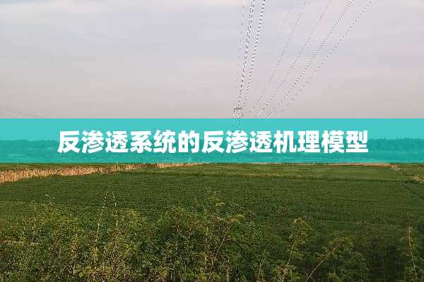 反渗透系统的反渗透机理模型