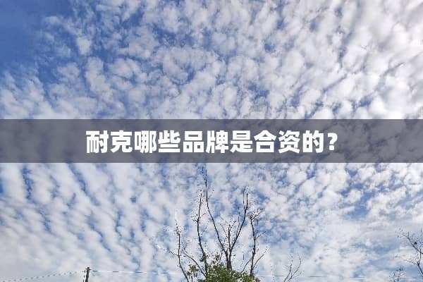 耐克哪些品牌是合资的？