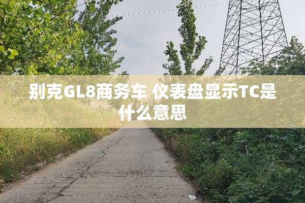 别克GL8商务车 仪表盘显示TC是什么意思