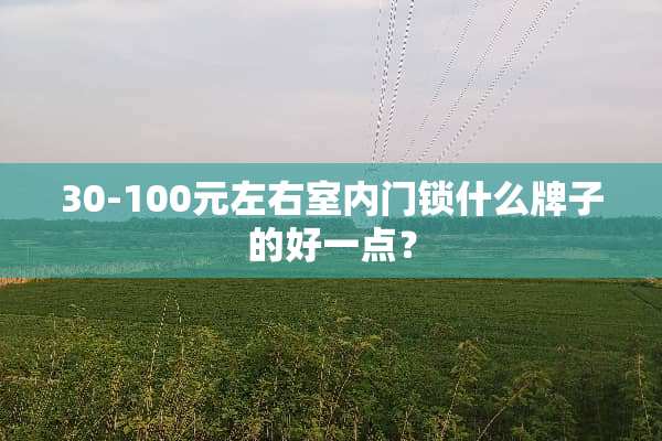 30-100元左右室内门锁什么牌子的好一点？
