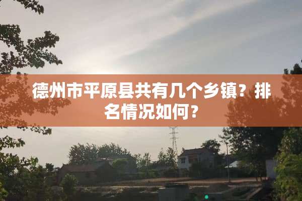 德州市平原县共有几个乡镇？排名情况如何？