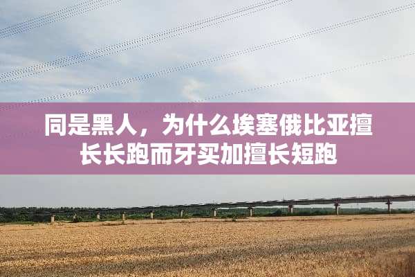 同是黑人，为什么埃塞俄比亚擅长长跑而牙买加擅长短跑