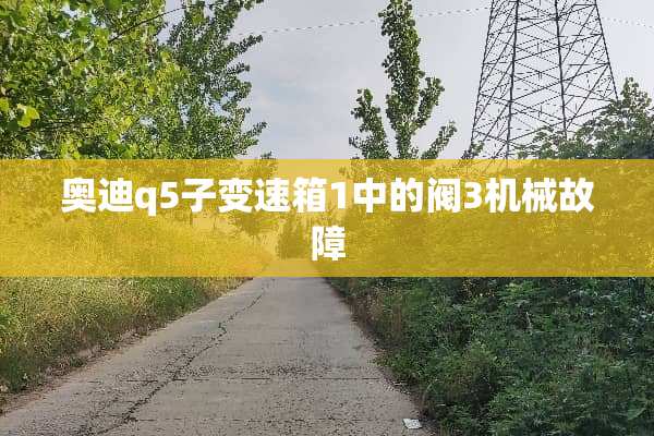奥迪q5子变速箱1中的阀3机械故障