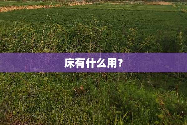 床有什么用？