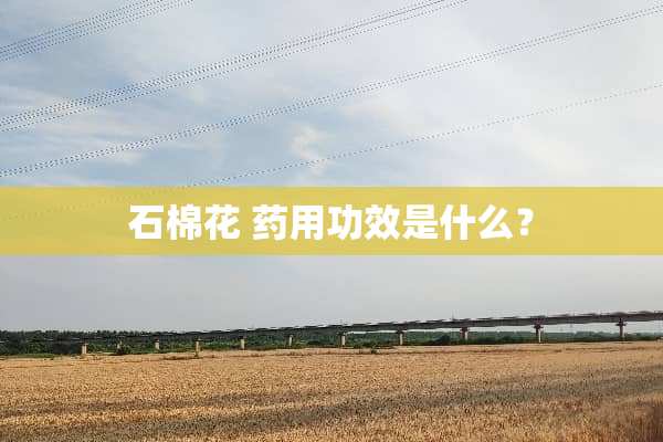 石棉花 药用功效是什么？