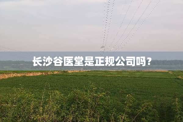 长沙谷医堂是正规公司吗？