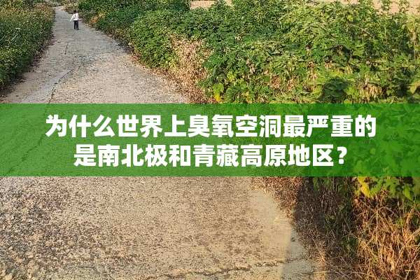 为什么世界上臭氧空洞最严重的是南北极和青藏高原地区？