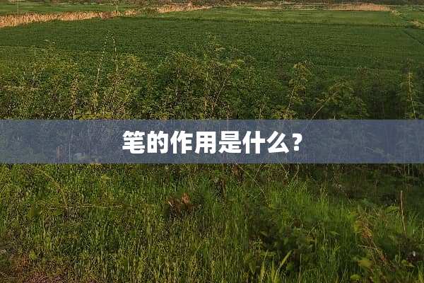 笔的作用是什么？