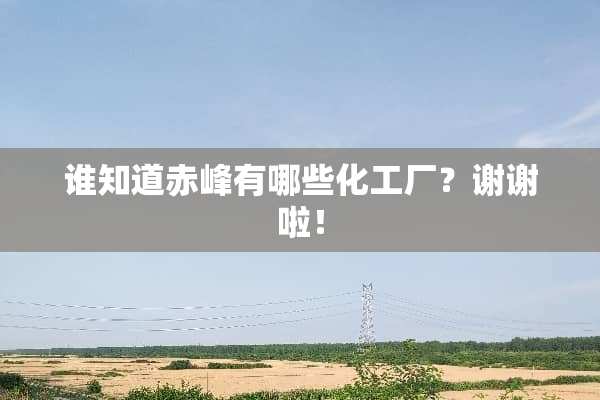 谁知道赤峰有哪些化工厂？谢谢啦！