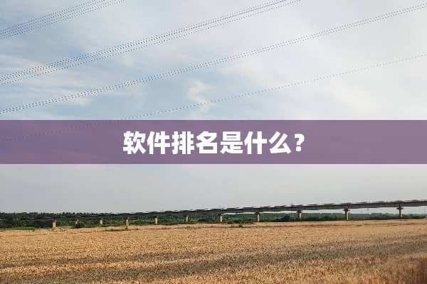 软件排名是什么？