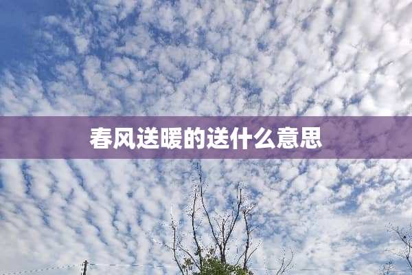 春风送暖的送什么意思