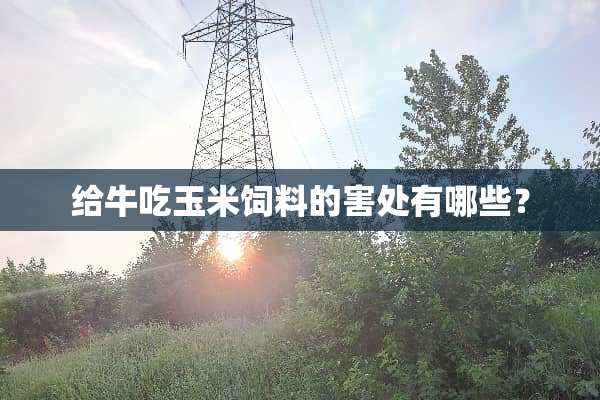 给牛吃玉米饲料的害处有哪些？