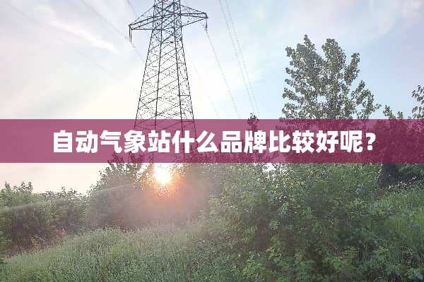 自动气象站什么品牌比较好呢？