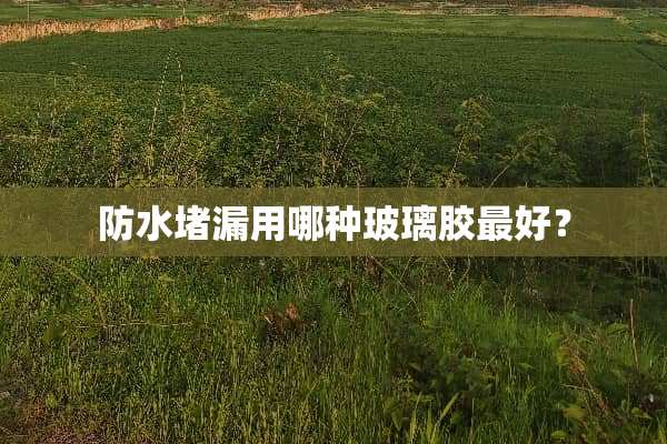 防水堵漏用哪种玻璃胶最好？