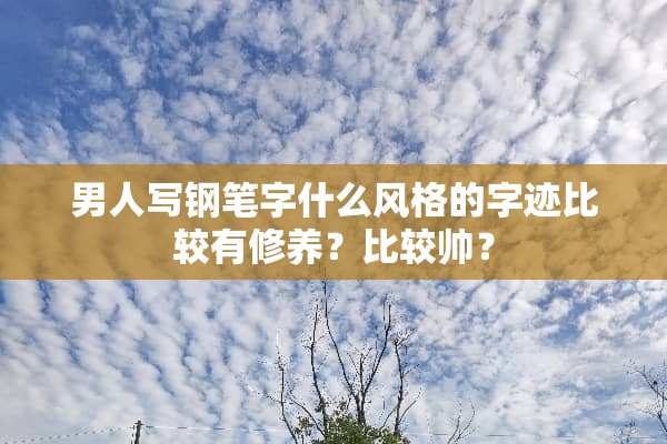 男人写钢笔字什么风格的字迹比较有修养？比较帅？