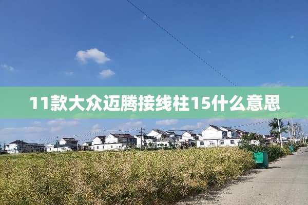 11款大众迈腾接线柱15什么意思