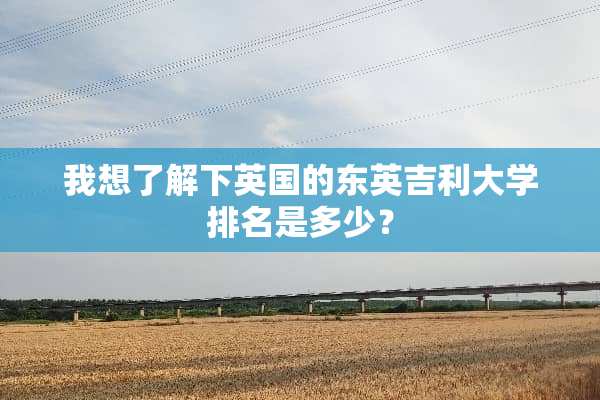 我想了解下英国的东英吉利大学排名是多少？