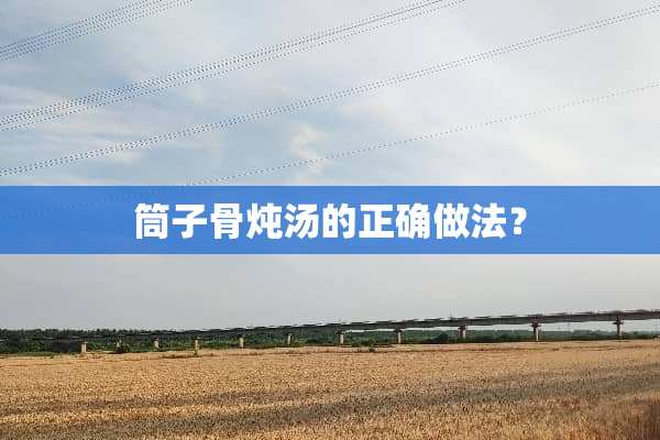筒子骨炖汤的正确做法？