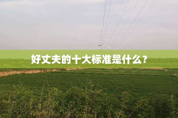 好丈夫的十大标准是什么？