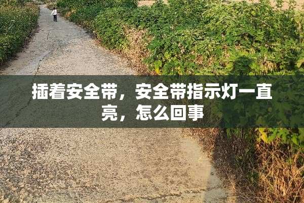 插着安全带，安全带指示灯一直亮，怎么回事