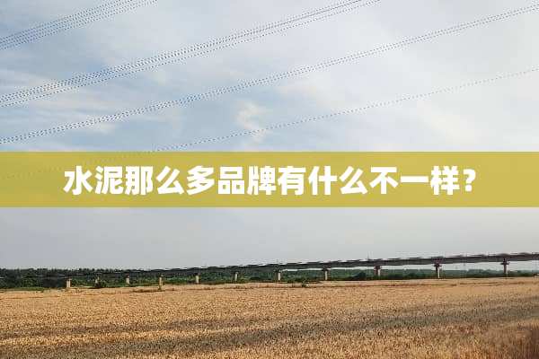 水泥那么多品牌有什么不一样？