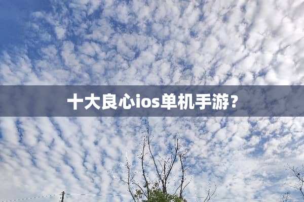 十大良心ios单机手游？